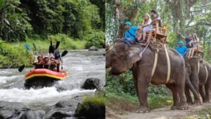 Elephant Ride in ubud