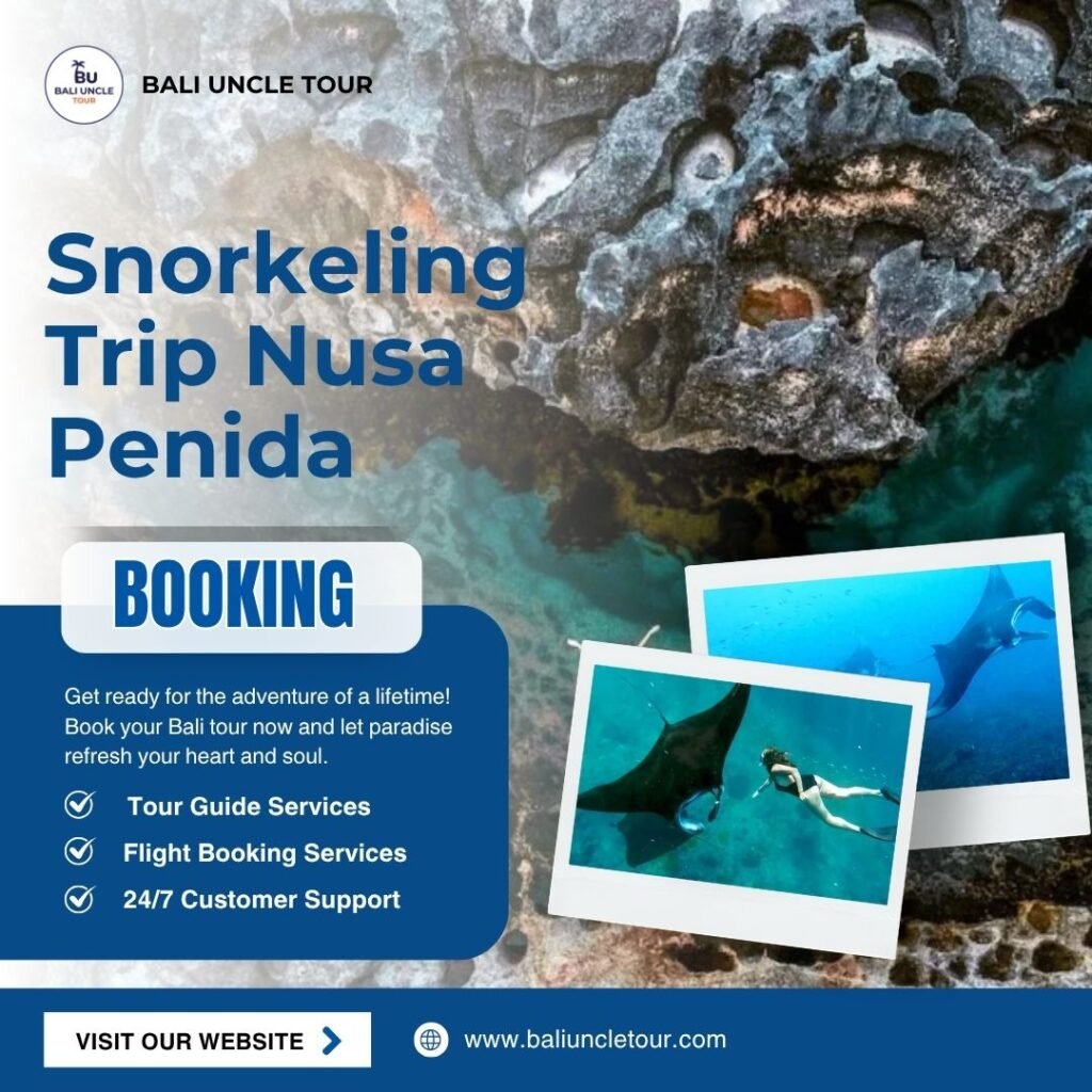 Snorkeling Trip Nusa Penida